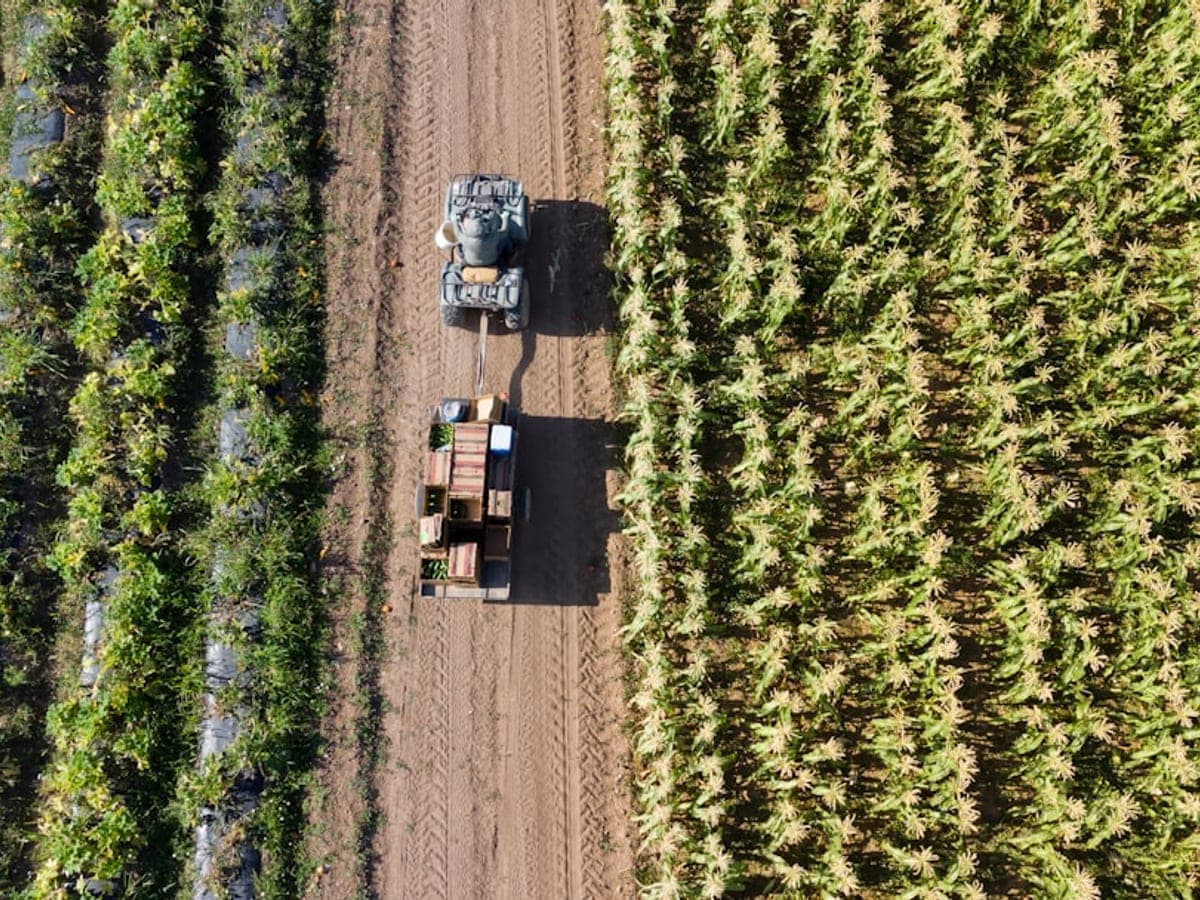 Farmers and agri-firms