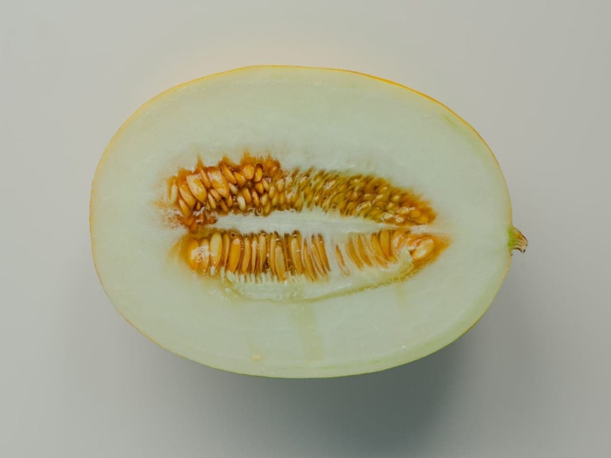 Melon