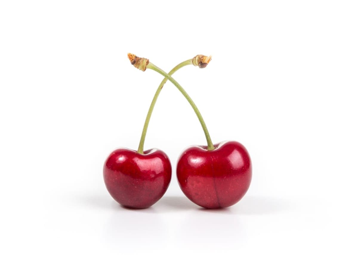 Sour cherry