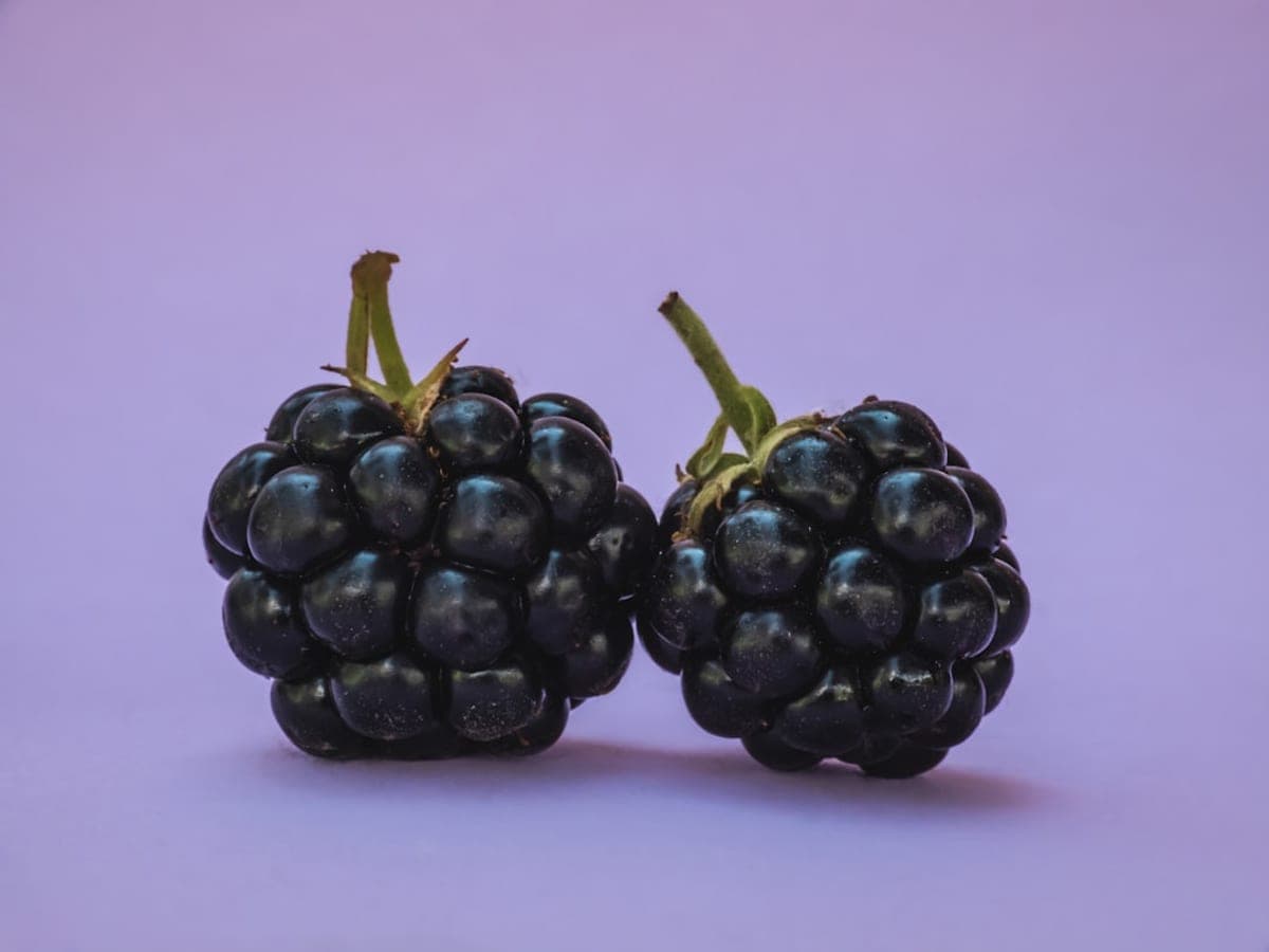 Blackberry