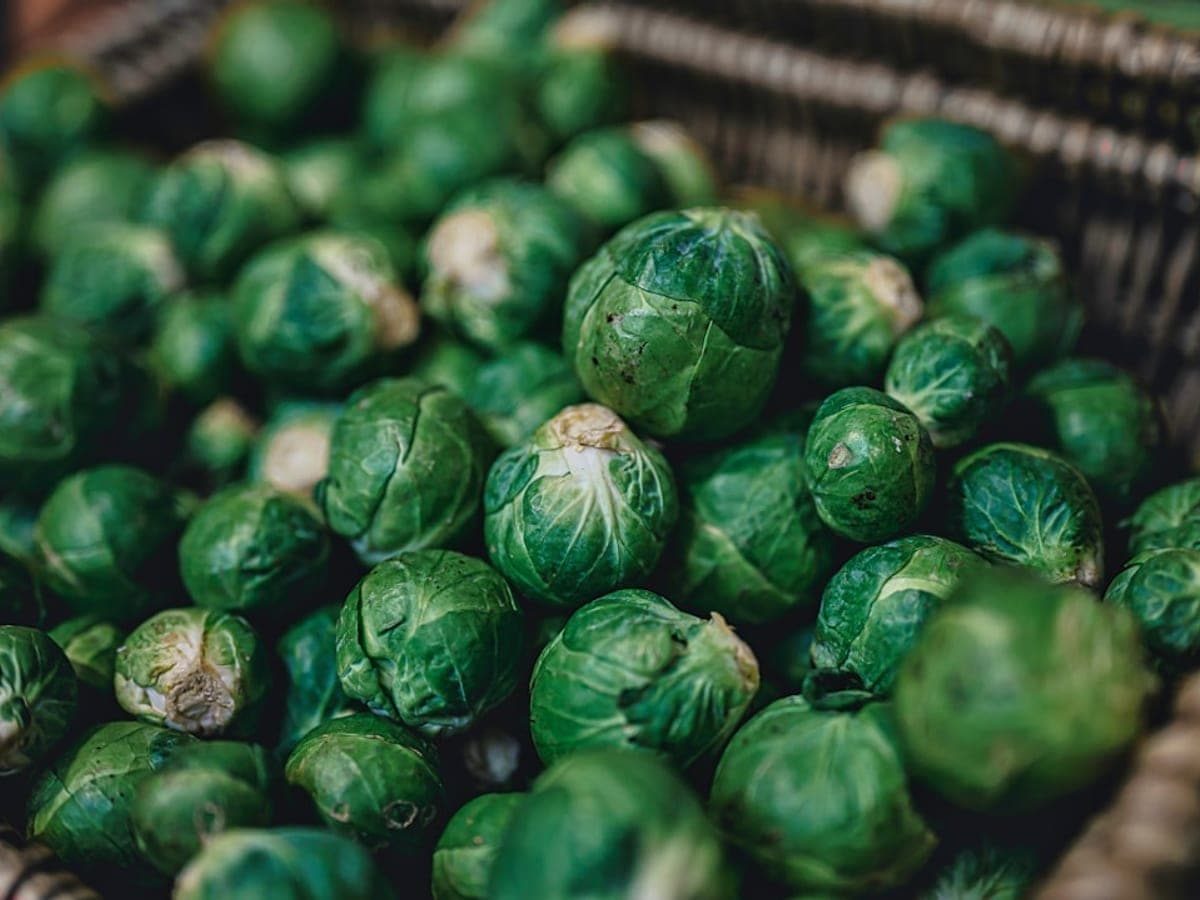 Brussels sprouts
