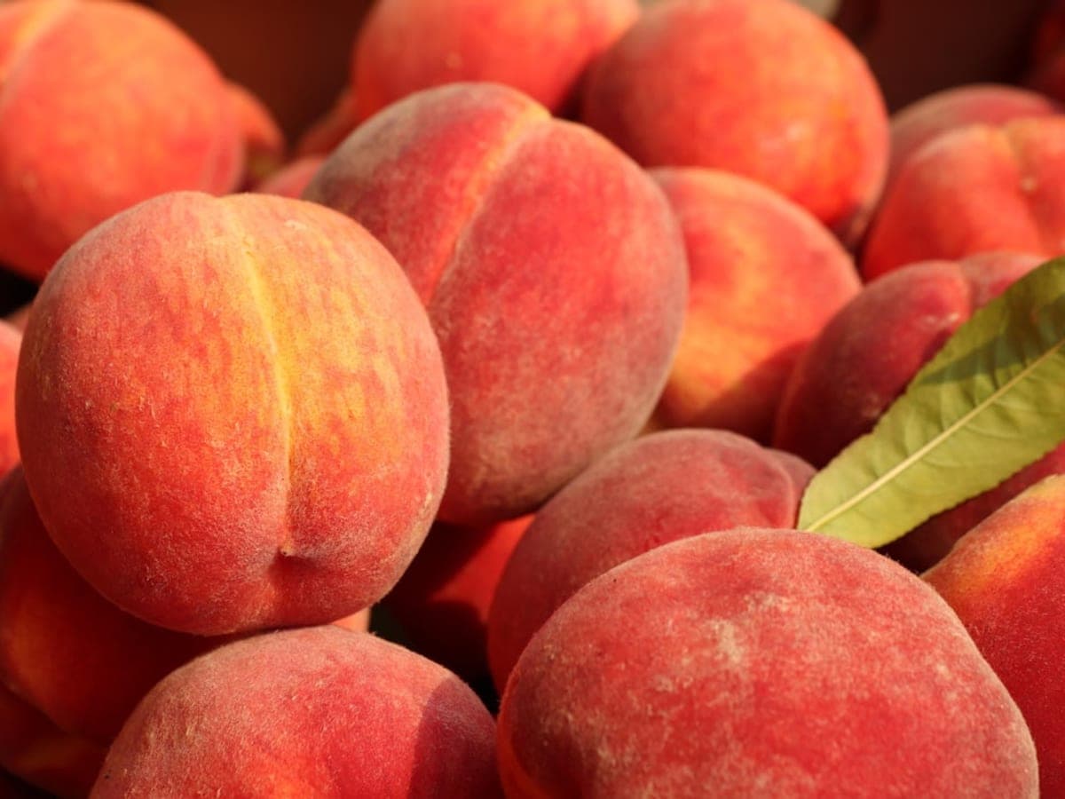 Peach