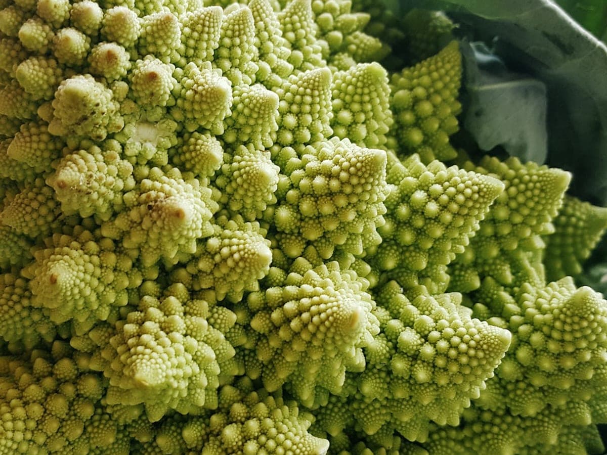 Romanesco